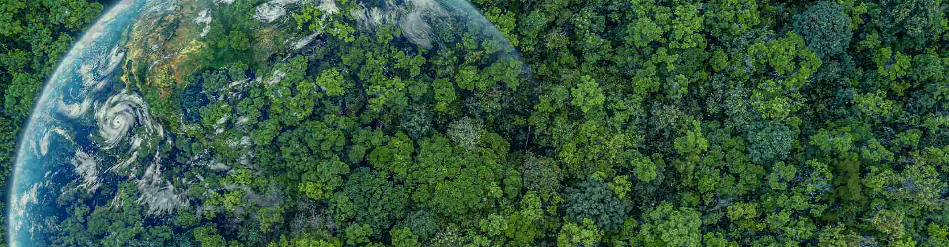 Environmental impact
